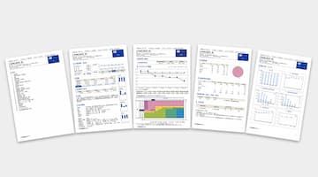 国内企業信用調査サービス